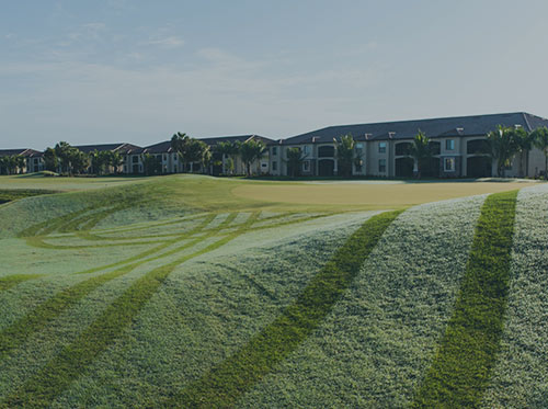 Golf Course with Morning Dew | Golf Course and Club Owner Representative Services for Naples Florida
